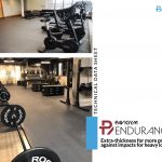 pavigym endurance špecifikácie